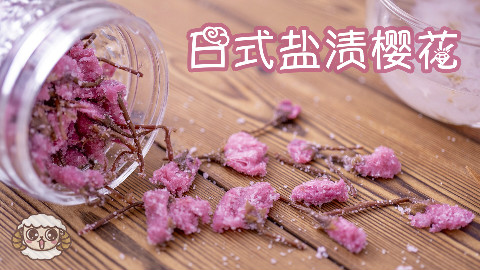 做一次,存一年,不花一分钱的【盐渍樱花】丨绵羊料理